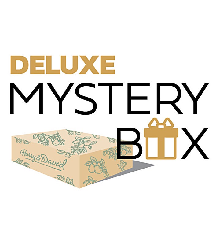 Mystery_Box_Graphics_06x